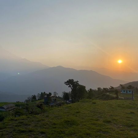 Tranquil Water Guest House Pokhara Extérieur photo